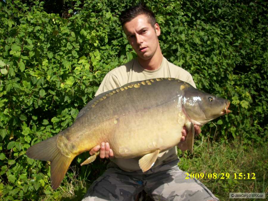 Lysec 80cm 12,5 kg