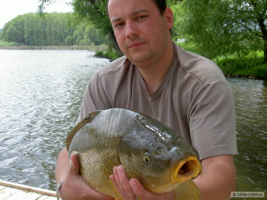 Kapřík