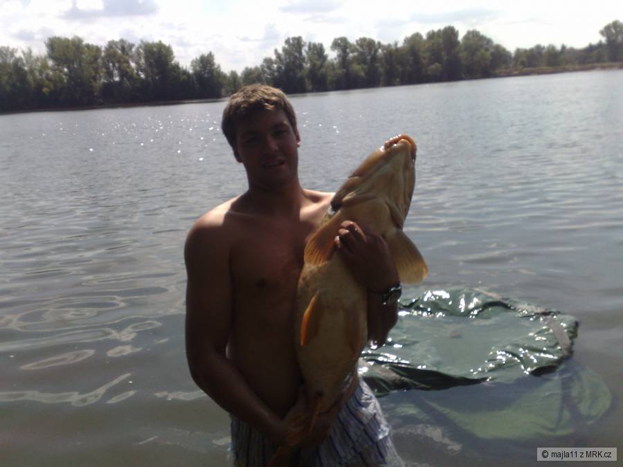 kapr95cm-17,5kg