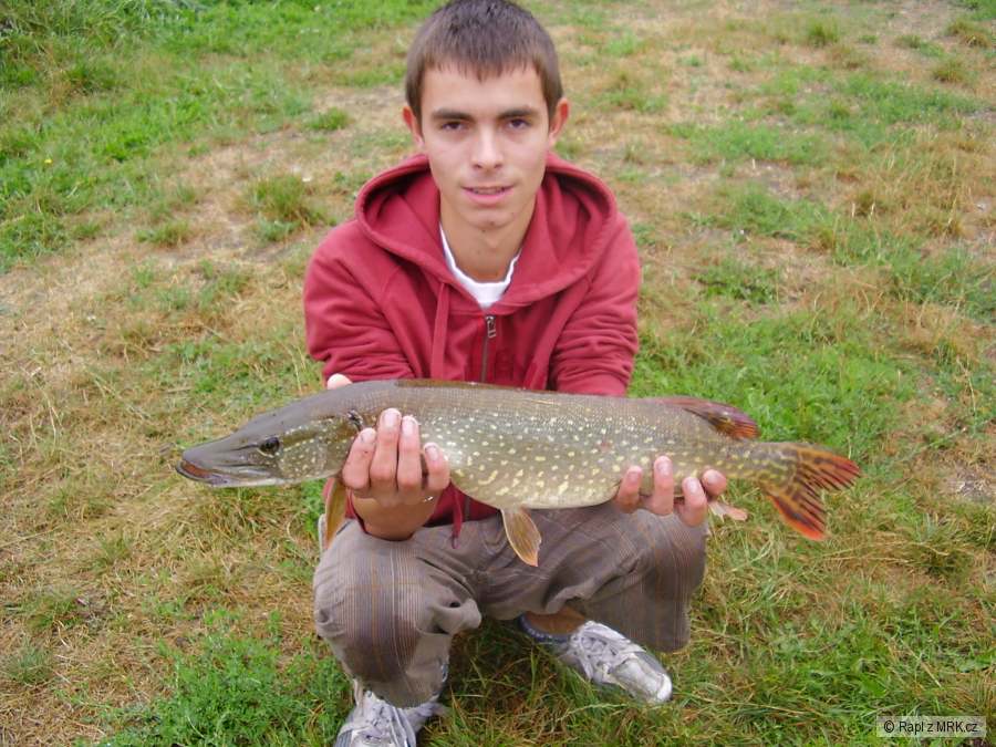 jedna z cvrčovických dračic