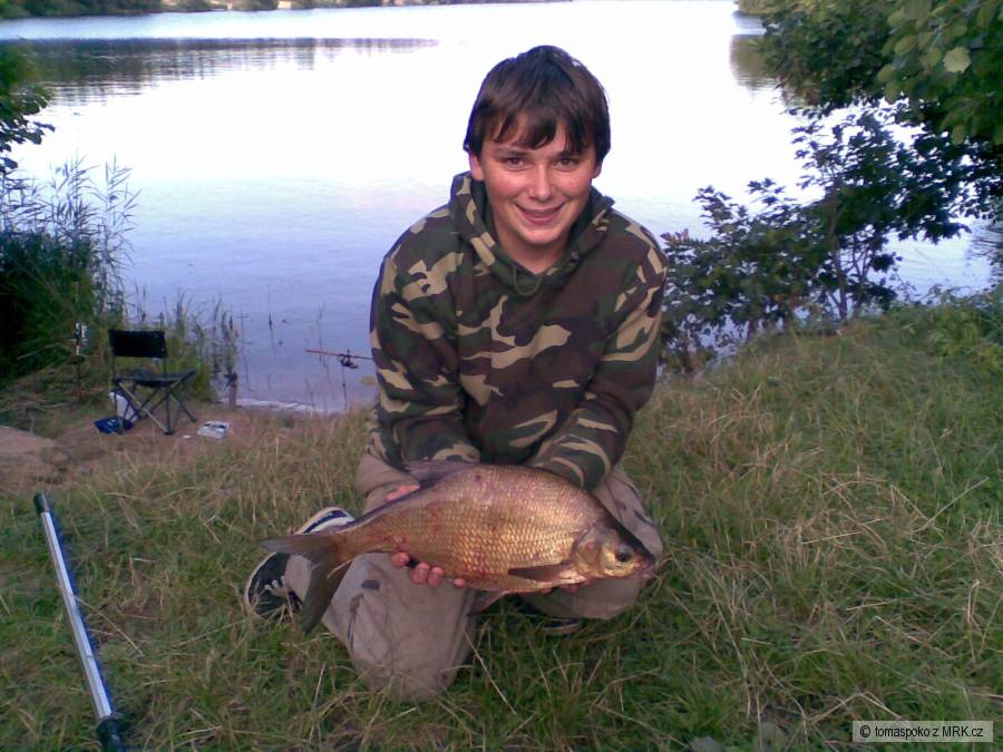 Cejn 55cm