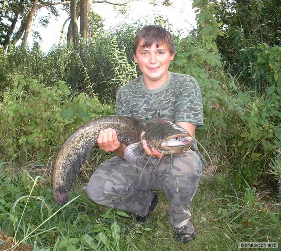 sumec 93cm