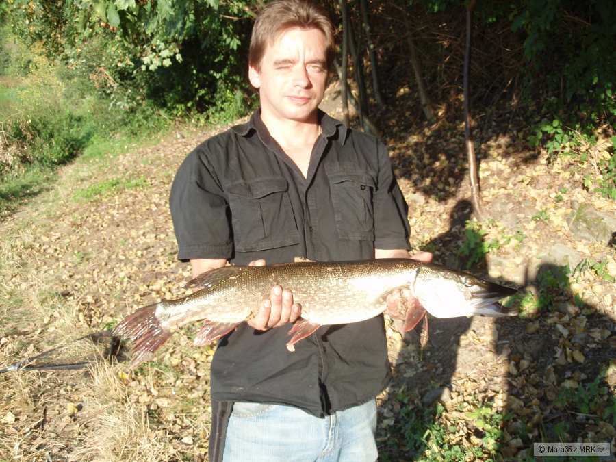 štika 75 cm