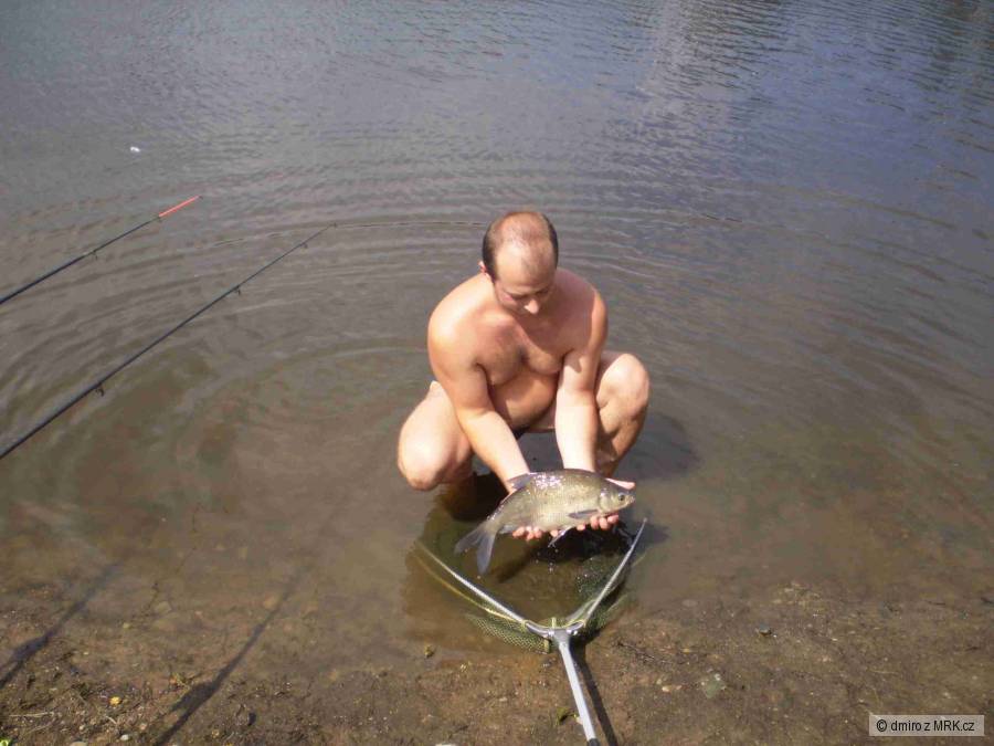 Zrůbek 09 - 1