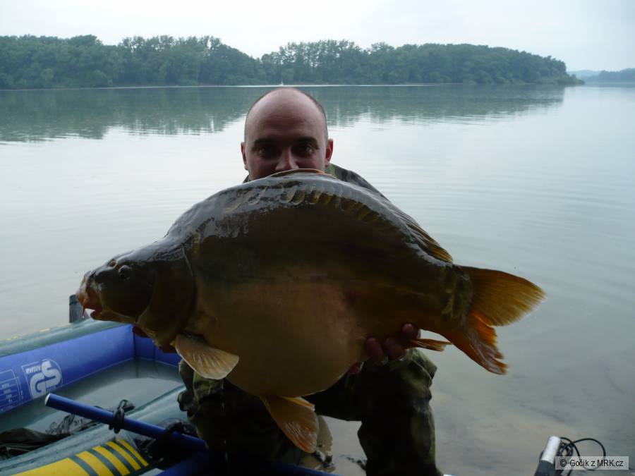 Kapr 66cm, 9,3Kg !!!