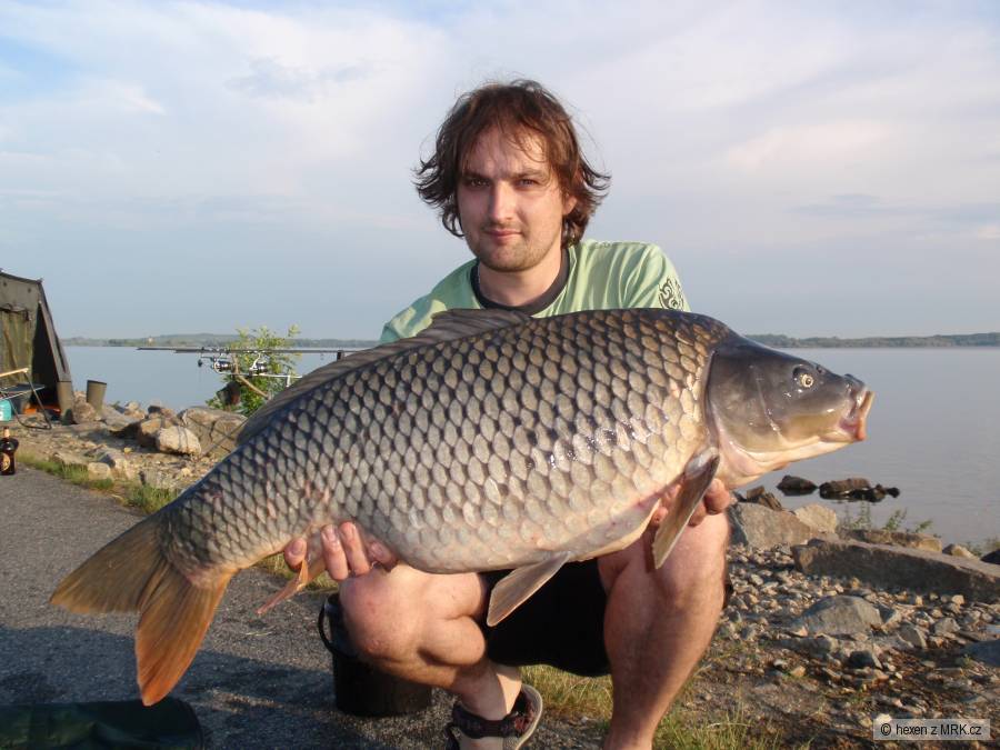 90cm 15kg
