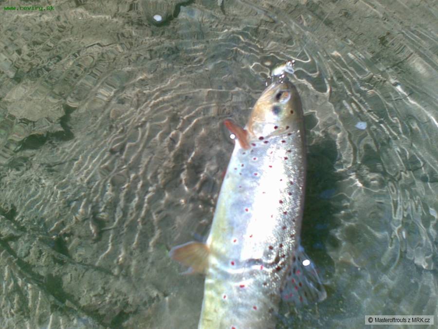 35cm