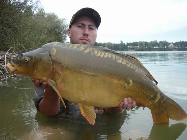 Carp team LB