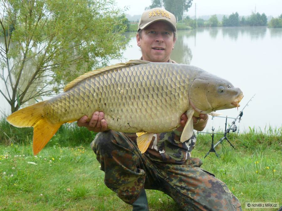 84cm 11,5kg