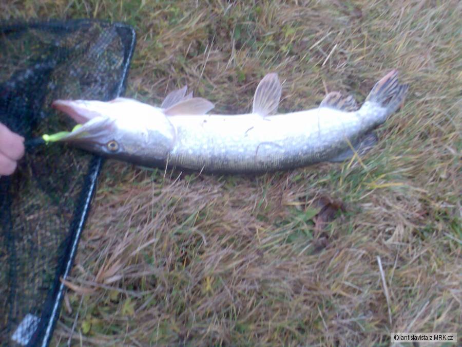 štička 67cm