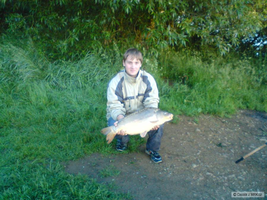 Kapřík 67cm