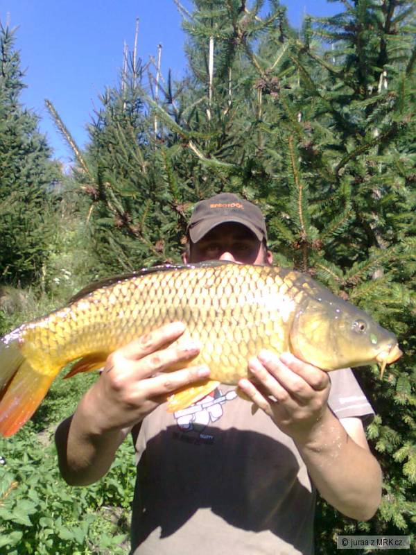 58cm