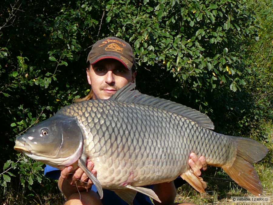D5-89cm a 14,1kg