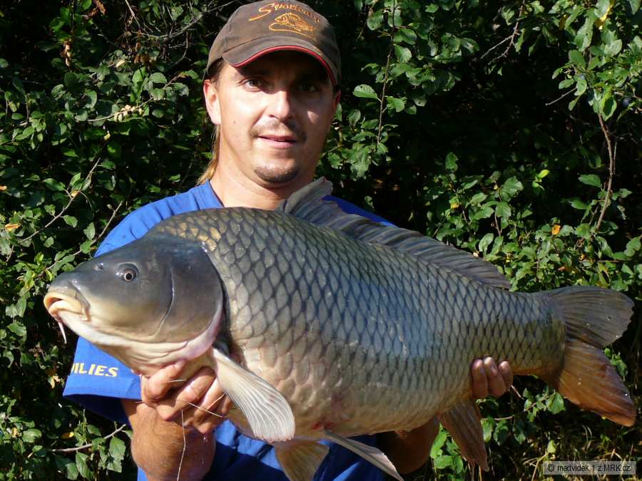 D5-89cm a 14,1kg