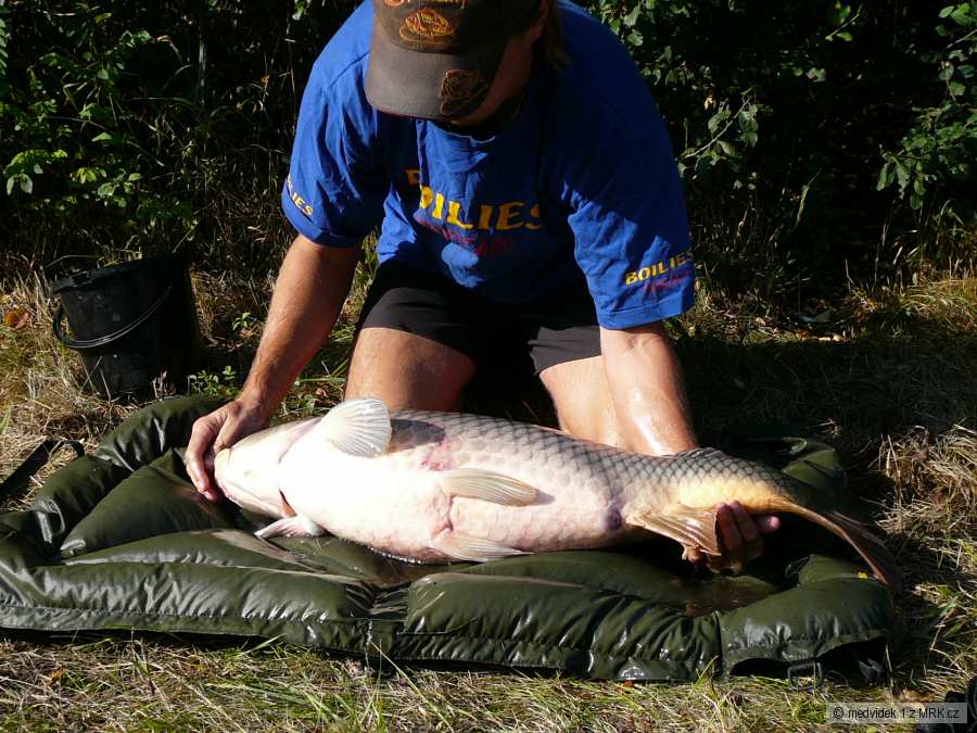 D5-89cm a 14,1kg