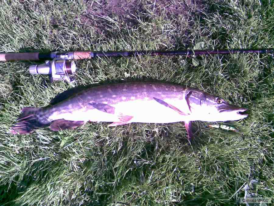river barrow stuka 84 cm