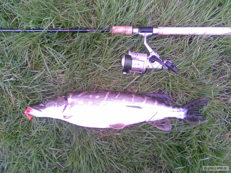 river barrow stuka 57 cm