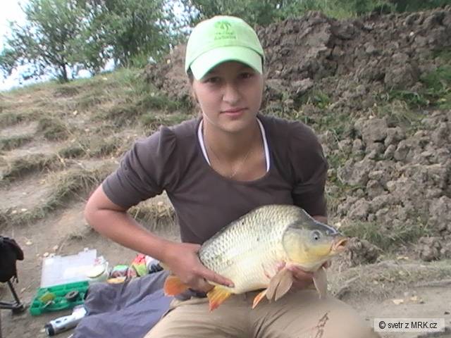 Kapr 60 cm