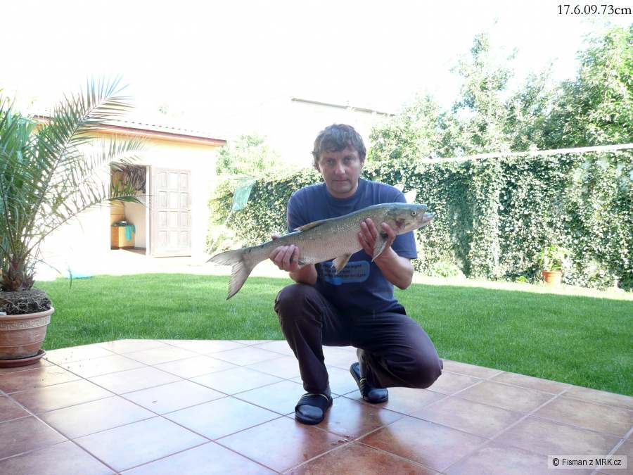 Bolen 73cm