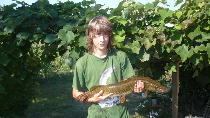 štika