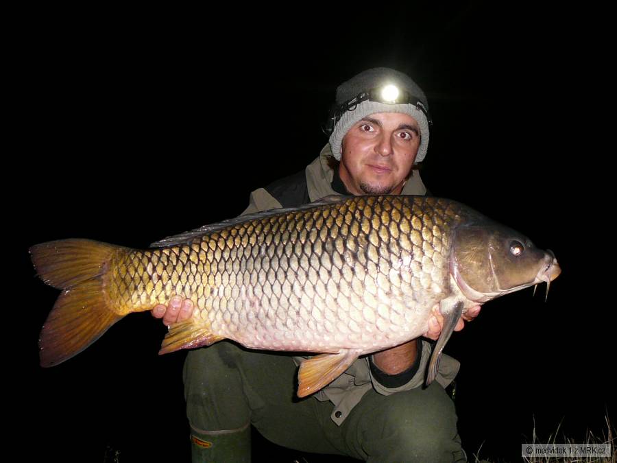 kapr 85cm a 11,1kg Dyje5