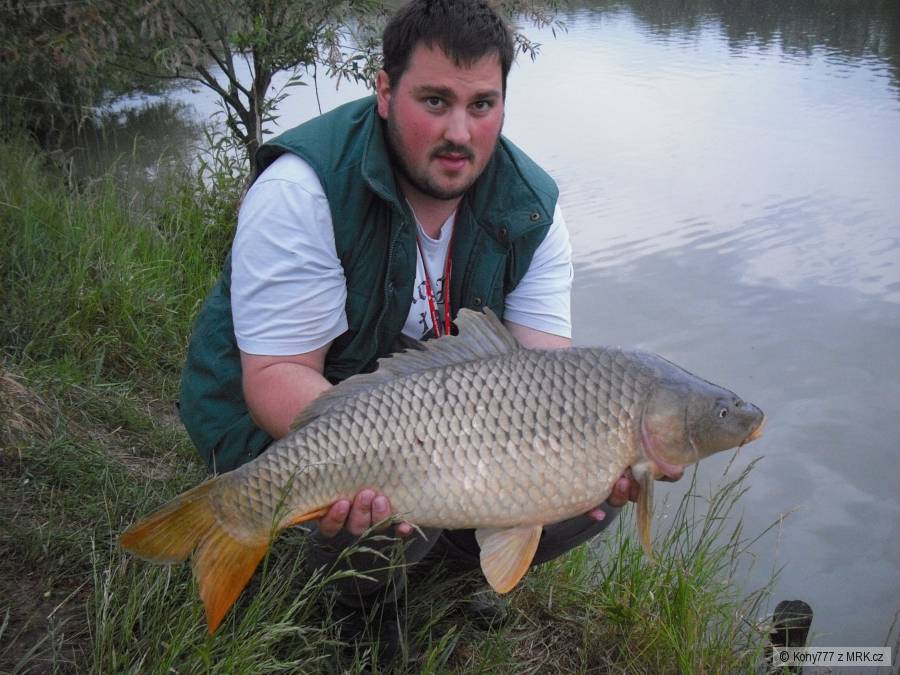 Šupináček 83