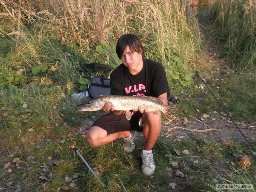 ja a pike