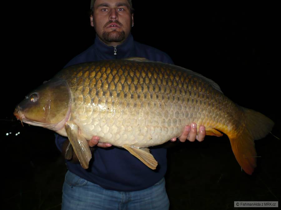 84 cm 13 kg