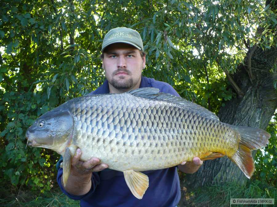 74 cm 7,5 kg