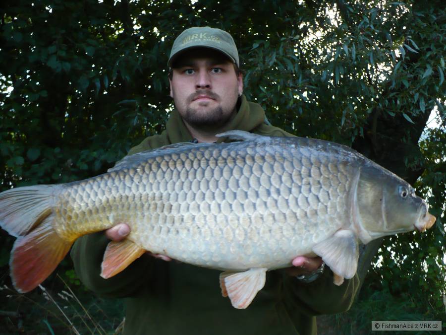 69 cm 5,5 kg
