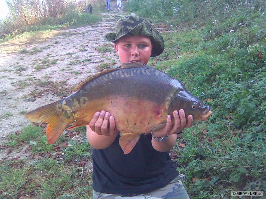 KAPR 65 Cm 6Kg - LABE