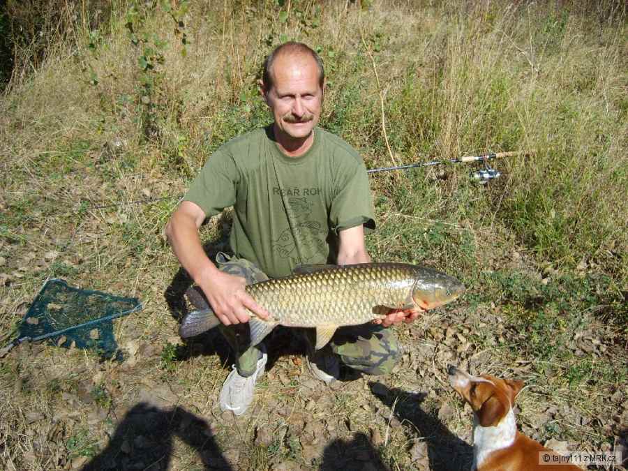 kamarád na Labi