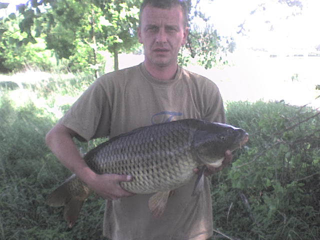 kapr labe 84 cm