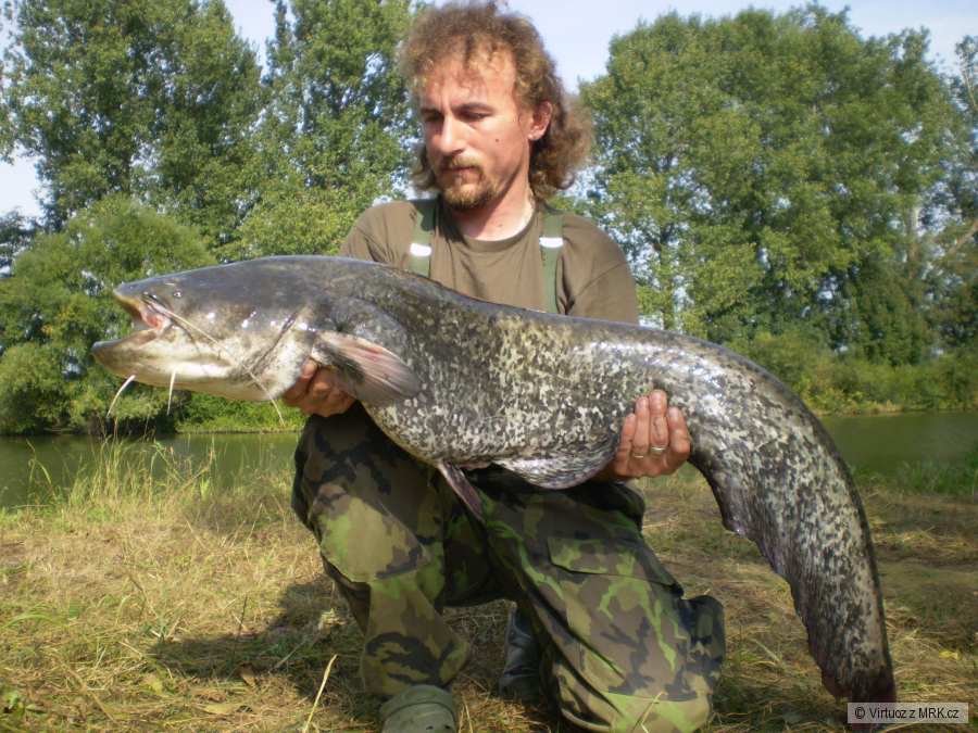 Aještě jedna