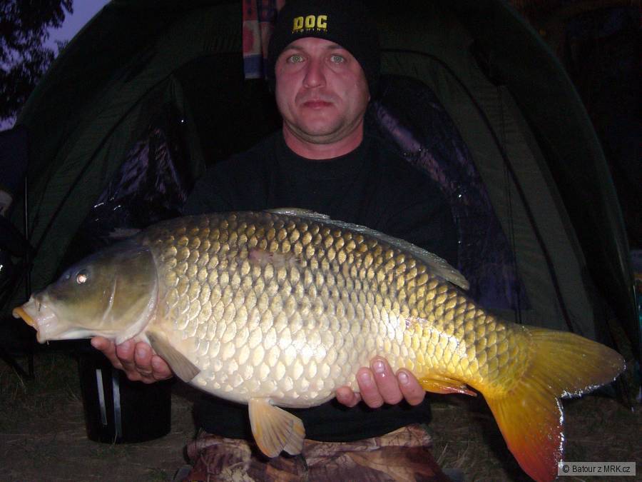 Kapr 73cm 7.40kg
