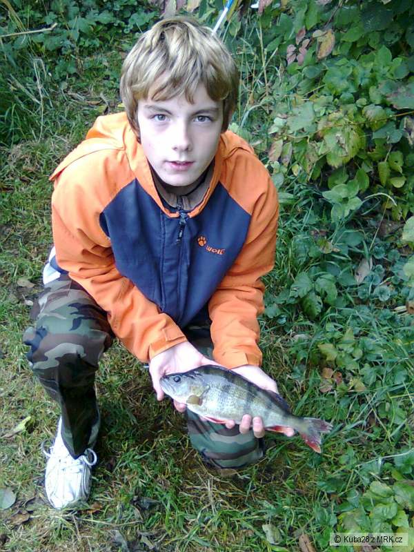 Okoun- 33 cm, na rippera