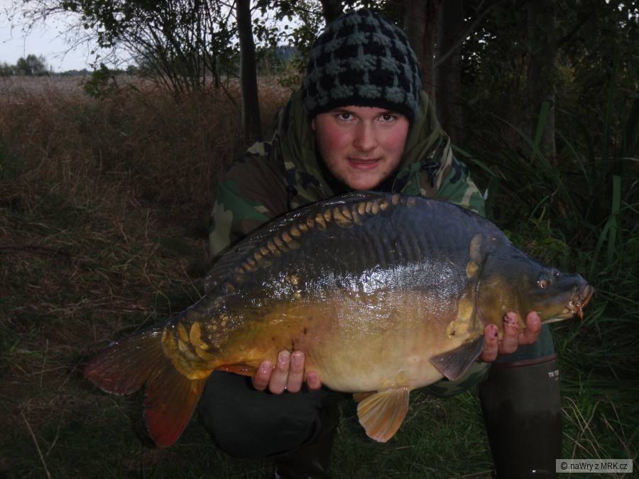 Kapr 68cm 7kg