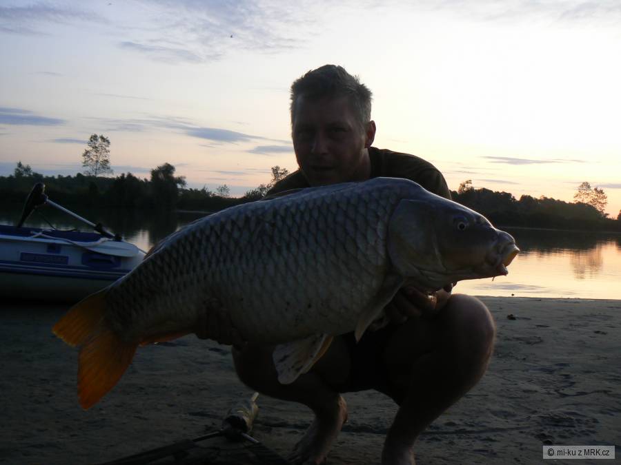 ranní kapřík