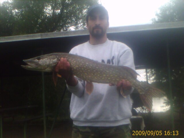 Štika 84