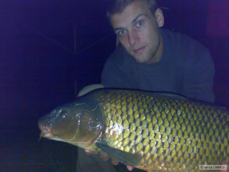 Labe 8.10.2009