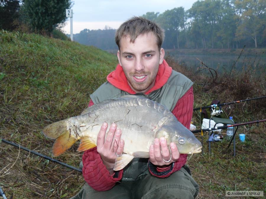Kapřík 53 cm