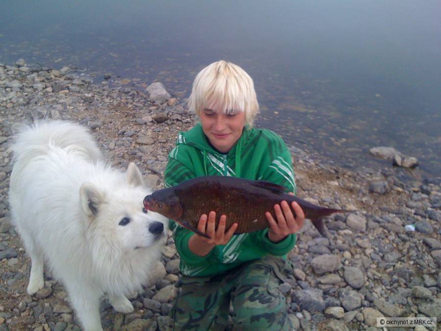 Cejn 58 cm