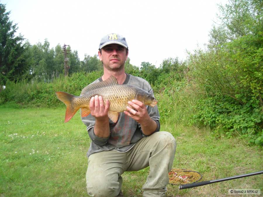 Kapřík 52 cm
