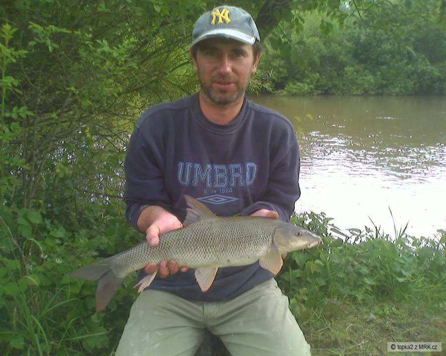 Parma 60 cm