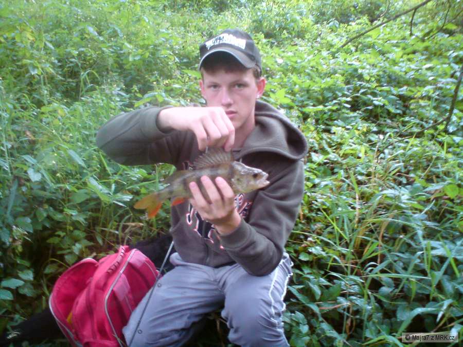 okoun 30 cm