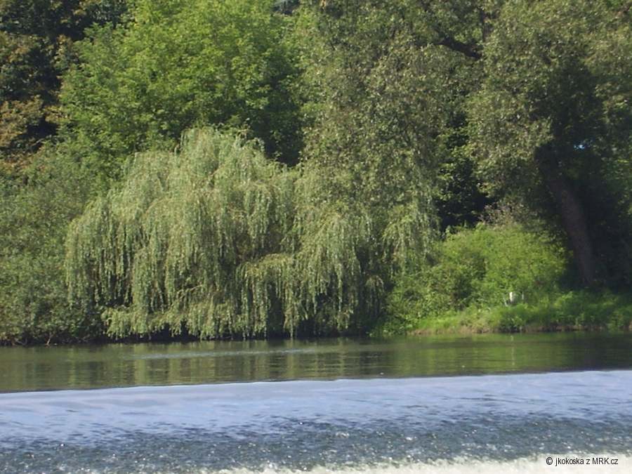 Berounka
