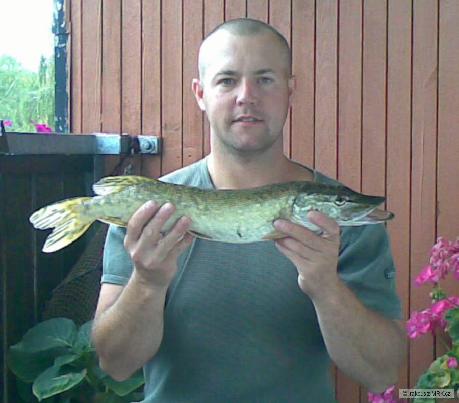 štika