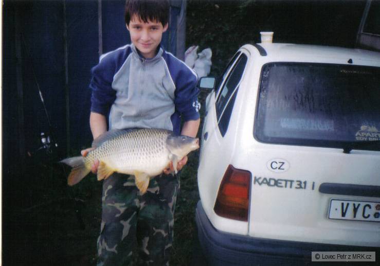 Kapr Nové mlýny
