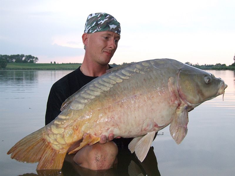 albín 15kg