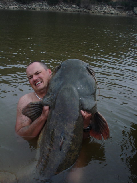 Ebro 3/2009      221cm, cca 80kg